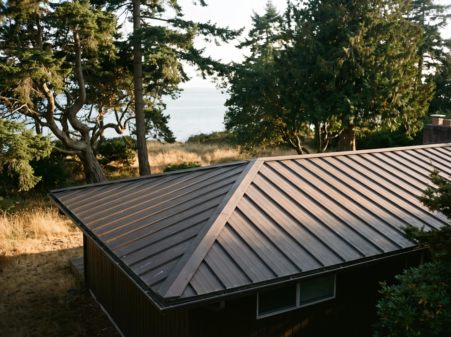 Point Roberts home with a metal roof among wind shaped coastal trees