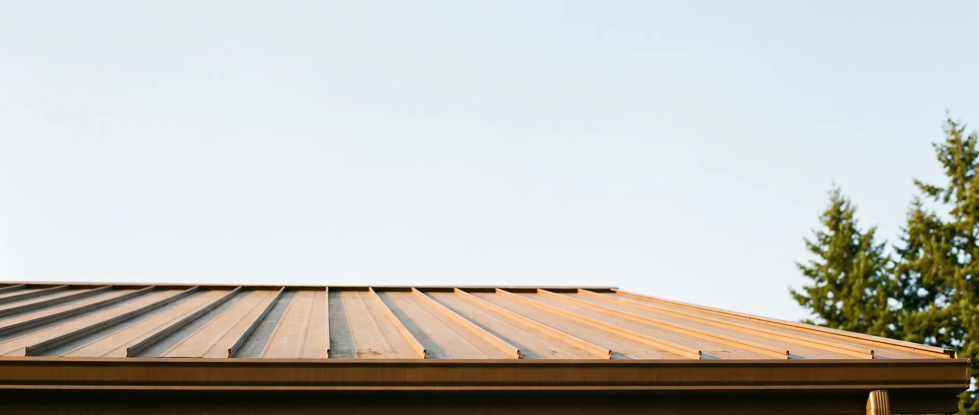Metal roof eave line against open Northwest sky